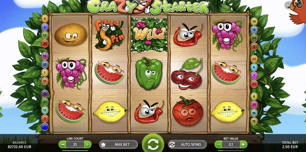 Crazy Starter-gallery-1