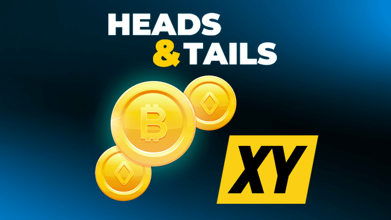 Heads And Tails xy-gallery-2