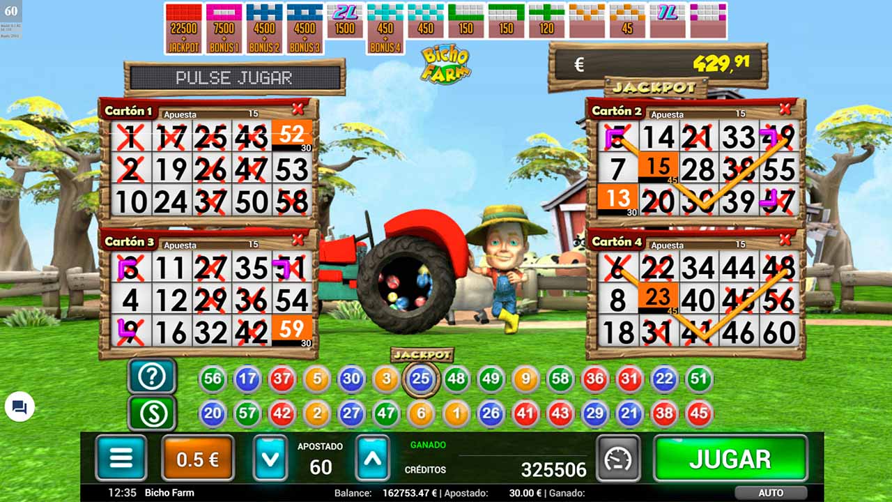 Bingo Bicho Farm-gallery-2