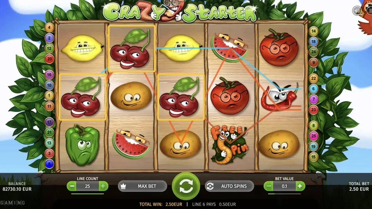 Crazy Starter-gallery-2