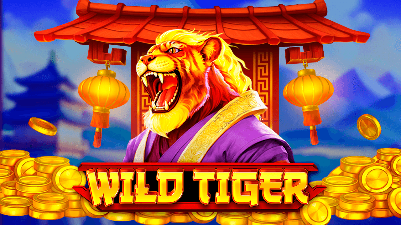 Wild Tiger-gallery-1