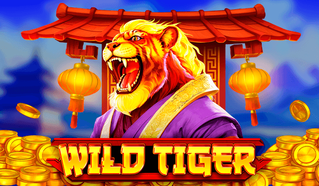 Wild Tiger-gallery-0