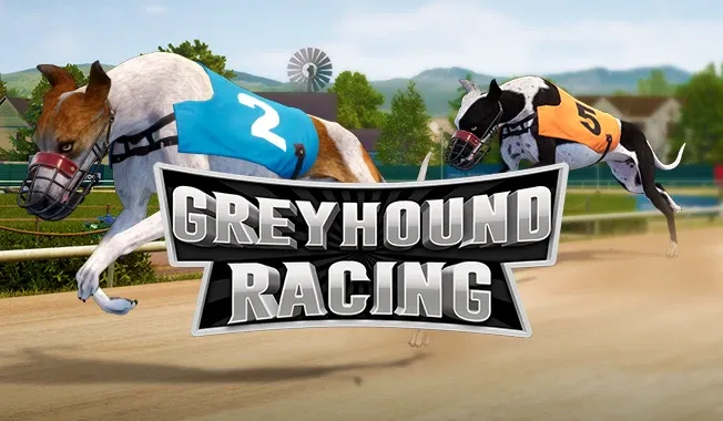 Greyhound racing-gallery-1